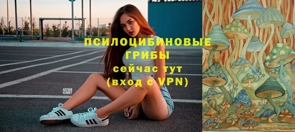спиды Михайловск
