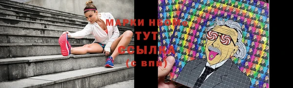 стафф Вяземский