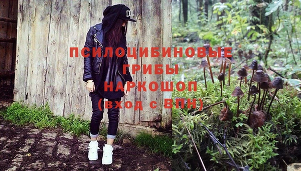 эйфоретик Михайлов