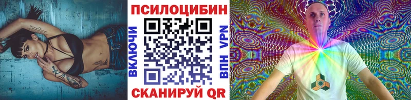 Галлюциногенные грибы Psilocybe  кракен вход  Заречный 