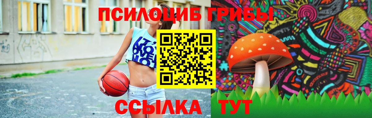где купить наркоту  Галлюциногенные грибы мухоморы  Вход с VPN  Заречный 
