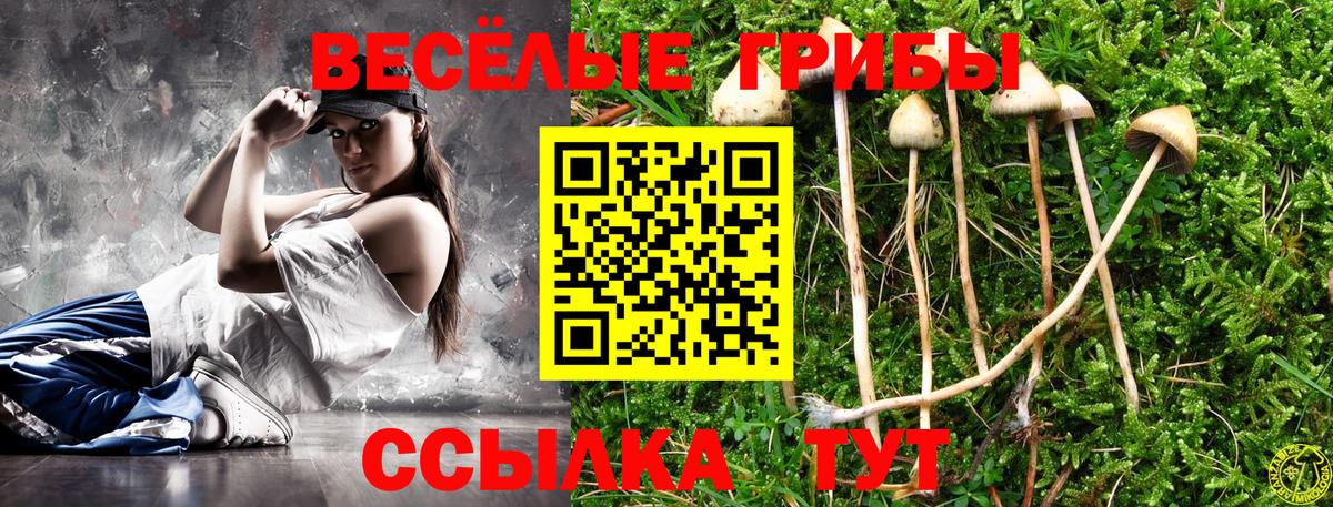 Псилоцибиновые грибы мухоморы Заречный